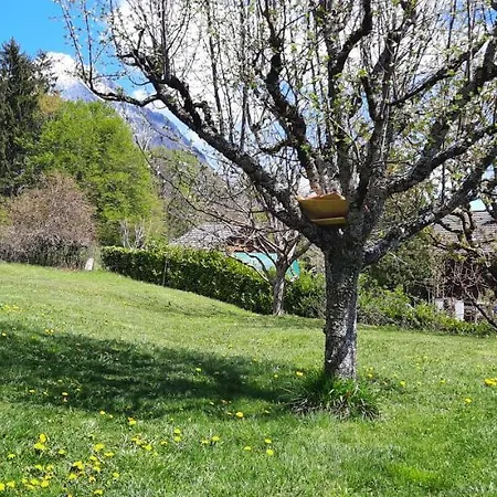 Appartement La Fleur De Vie