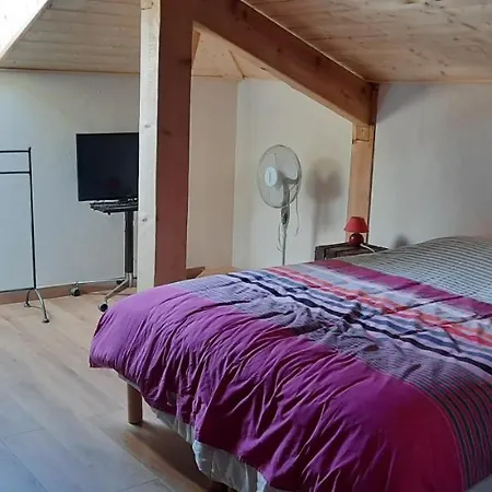 Appartement La Fleur De Vie *